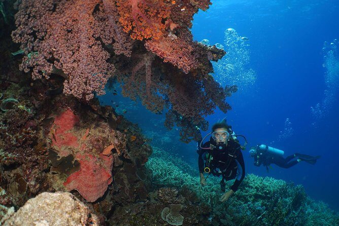 Poseidon Outer Great Barrier Reef Snorkeling and Diving Cruise from Port Douglas - FAQ