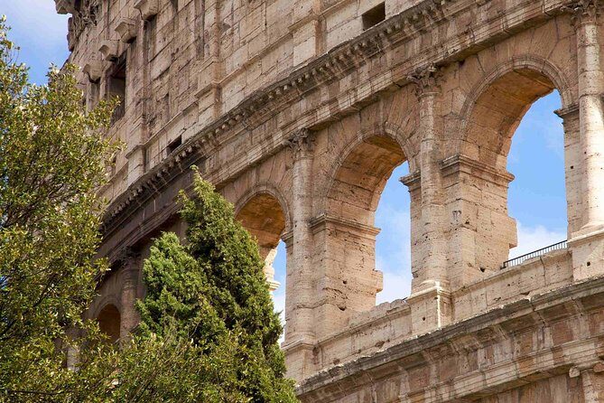 Post-Cruise Private Tour from Civitavecchia Port to Rome - The Sum Up