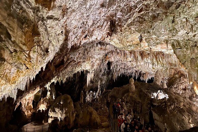 Postojna Cave Day Trip From Ljubljana - An In-Depth Look at the Tour Itinerary