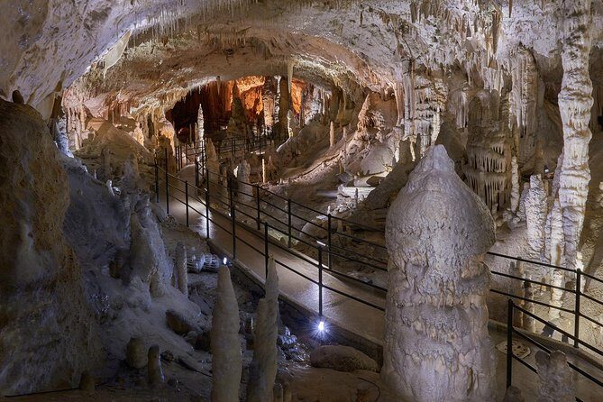 Postojna Cave & Predjama Castle - Shore Excursion from Koper - Who Will Love This Tour?