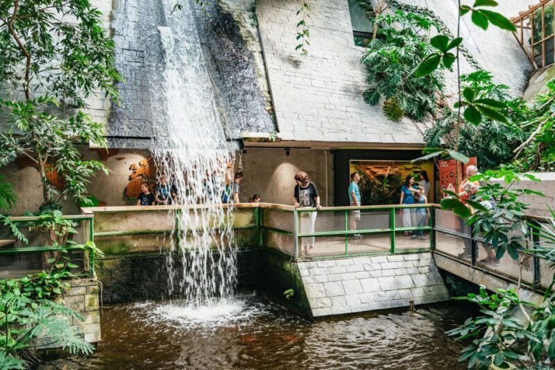 Potsdam: Biosphäre Potsdam Entry Ticket - A Deep Dive into the Biosphäre Experience