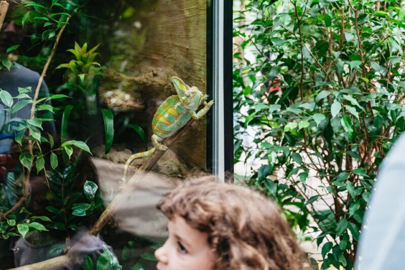 Potsdam: Biosphäre Potsdam Entry Ticket - FAQ