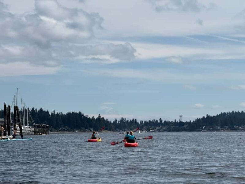 Poulsbo: Liberty Bay Guided Kayak Tour with Wildlife - The Sum Up