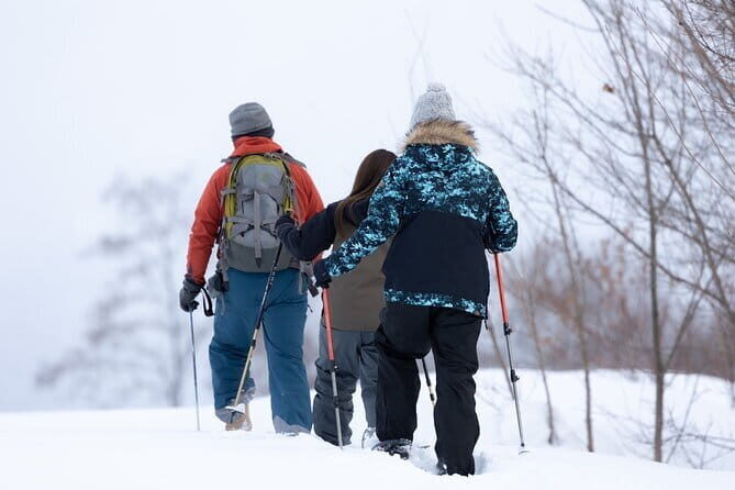 Powder Belt Pass 5 days Ticket,Snowshoeing, Hot Springs Wagyu BBQ - Introduction