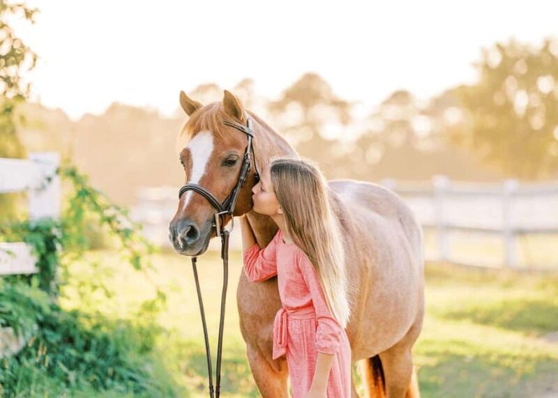 Pozar Thermal Baths: Horseback Riding Tour from Thessaloniki - Key Points