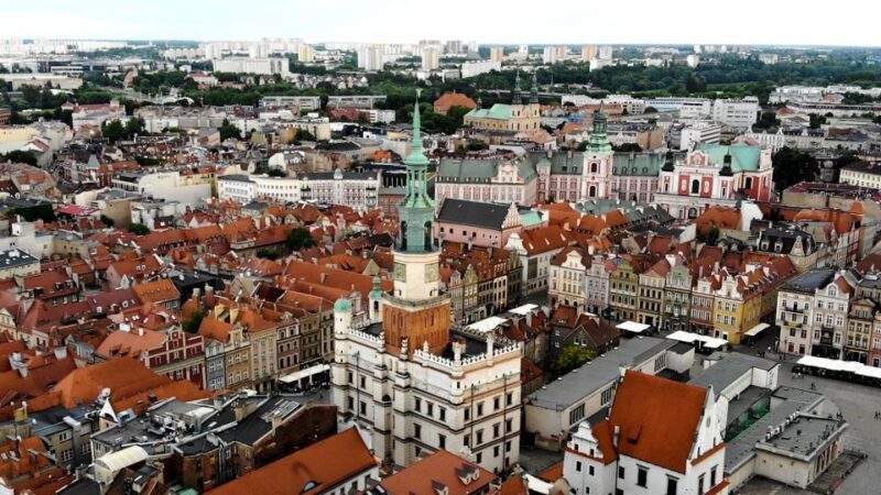 Pozna Half-day Tour - Why This Tour Is a Great Choice