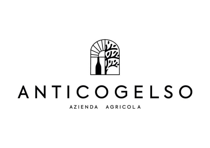 Pozzolengo: Vineyard tour and tasting of typical Garda wines - Exploring the Vineyard and the Winemaking Philosophy