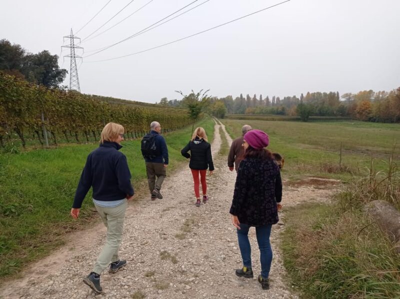 Pozzolengo: Vineyard tour and tasting of typical Garda wines - Practical Details: What to Expect and How to Prepare