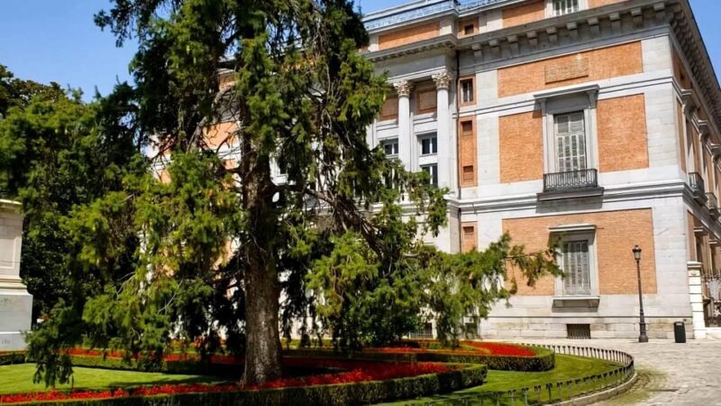 PRADO MUSEUM HIGHLIGHTS PRIVATE TOUR - Authentic Reviews and Insights