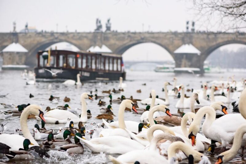 Prague: 1.5-Hour River Boat Cruise and Guided Tour - A Deep Dive into the Experience