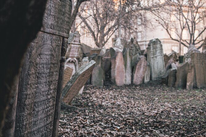 Prague Full-Day City Walking Tour and Petrin Tower - Who is This Tour Best For?