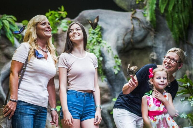 Prague: Papilonia Butterfly House - Key Points