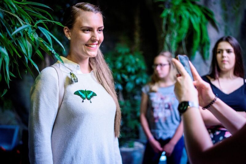 Prague: Papilonia Butterfly House - The Experience for Visitors