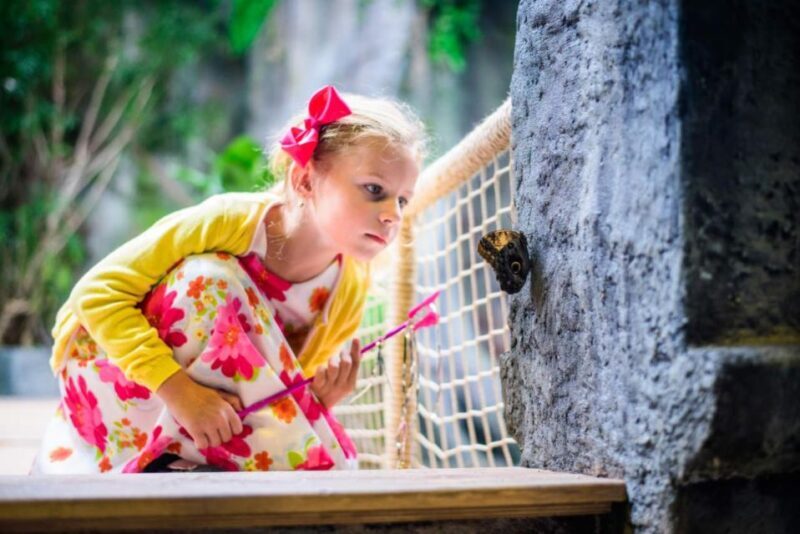 Prague: Papilonia Butterfly House - Why This Experience Offers Genuine Value