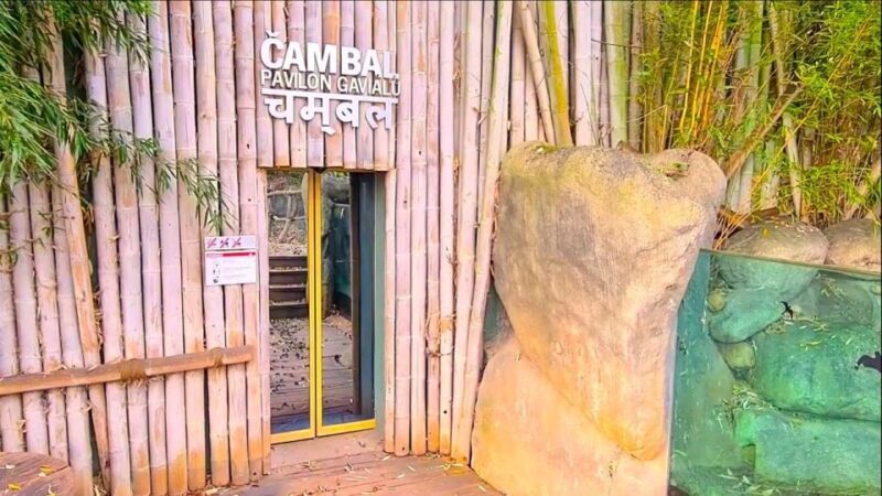 Prague: Prague Zoo Audio Guide with E-Ticket - Final Thoughts