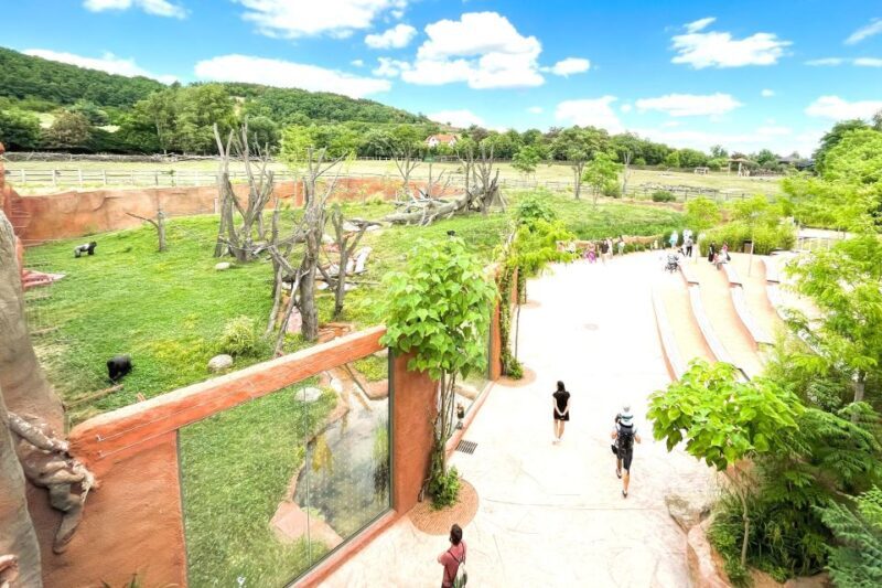 Prague Zoo Online Audio Guide (No ticket) - A Detailed Look at the Prague Zoo Online Audio Guide