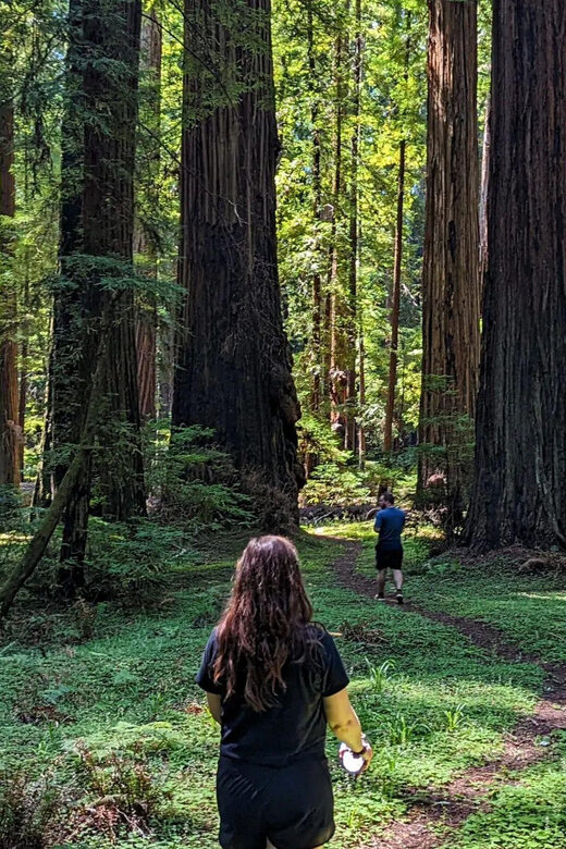 Prairie Creek State Park: Redwood Forest Hiking Tour - Key Points