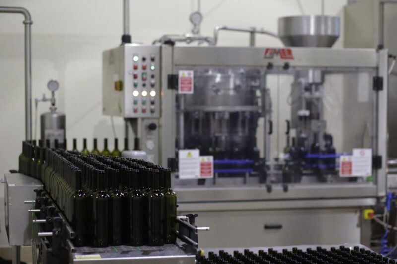 Pramaggiore: Ornella Bellia Winery Guided Tour & Tasting - A Detailed Look at the Ornella Bellia Winery Tour