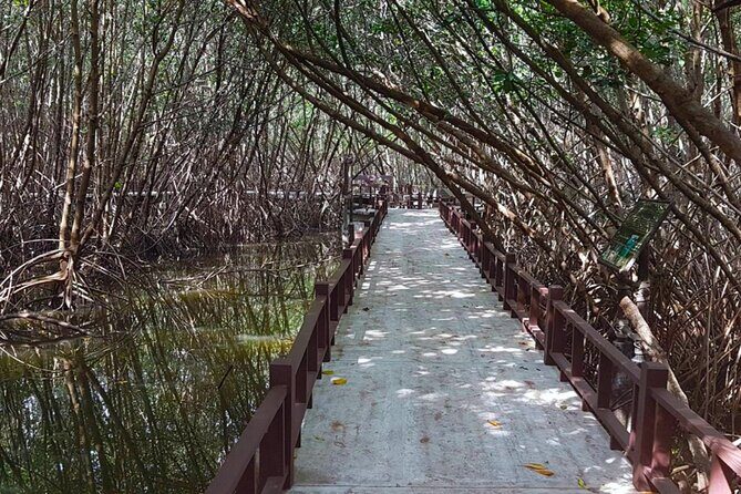 Pranburi Forest Park and Khao Daeng Join Tour from Hua Hin - Who Is This Tour Best For?