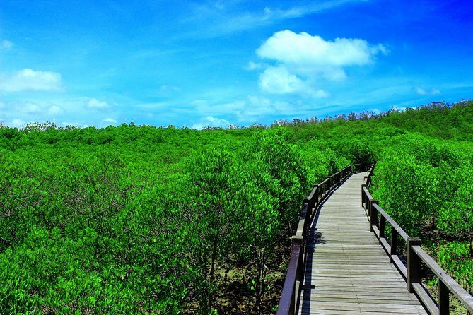 Pranburi Mangrove Swamp and River Cruise - Exploring the Pranburi Mangrove Swamp and River Cruise: An Authentic Thai Nature Escape