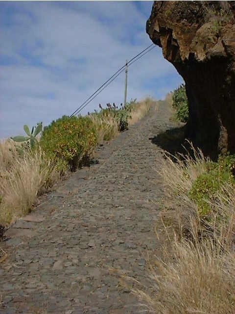 Prazeres: Full-Day Nature Walk - The Route and What to Expect