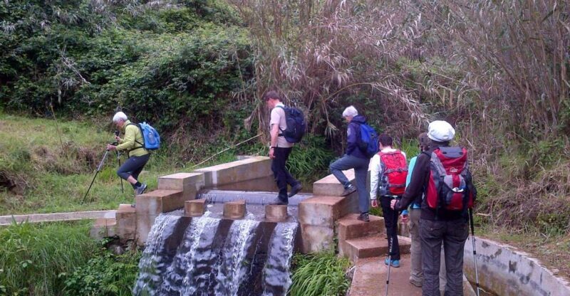 Prazeres: Full-Day Nature Walk - Transportation & Logistics