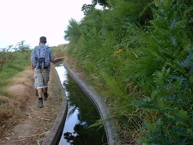 Prazeres: Full-Day Nature Walk - Authenticity & Experience