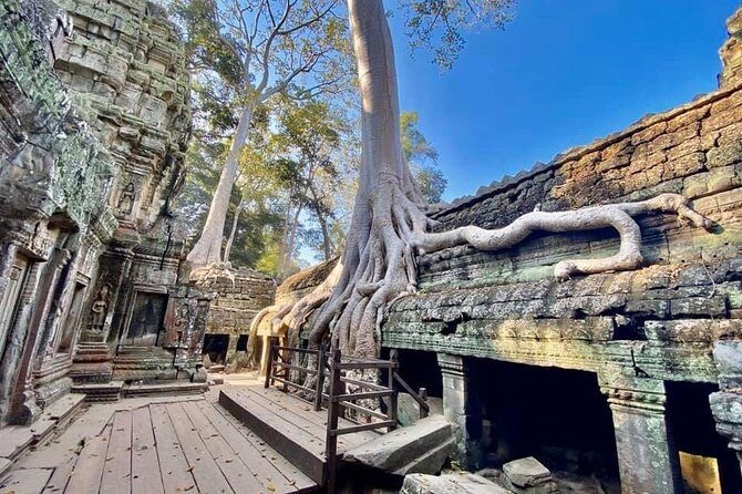 Preah Khan, Ta Prohm, Bayon Off Beaten Track - An In-Depth Look at the Tour Experience