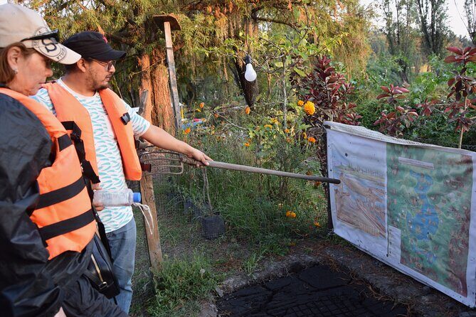 Prehispanic Xochimilco: Market, chinampas and axolotls - Authenticity and Local Connection