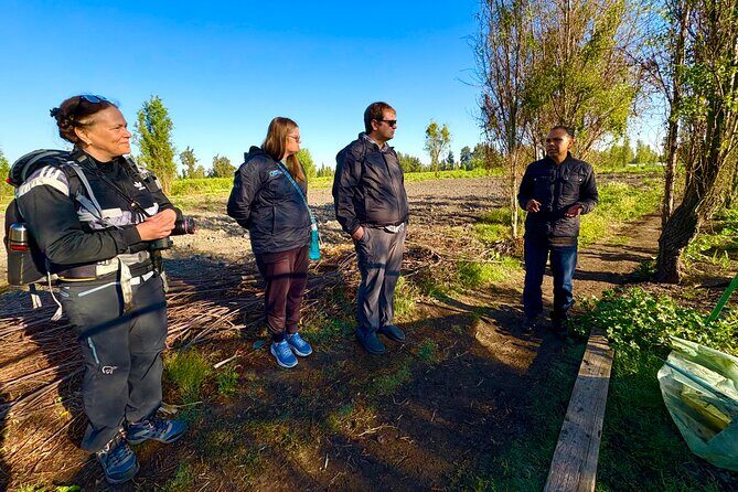 Prehispanic Xochimilco: Market, chinampas and axolotls - Who Will Love This Tour?