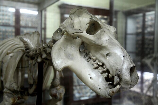 Prehistoric Temples and Highlights of the South Full-Day Tour - Who This Tour Is Best For