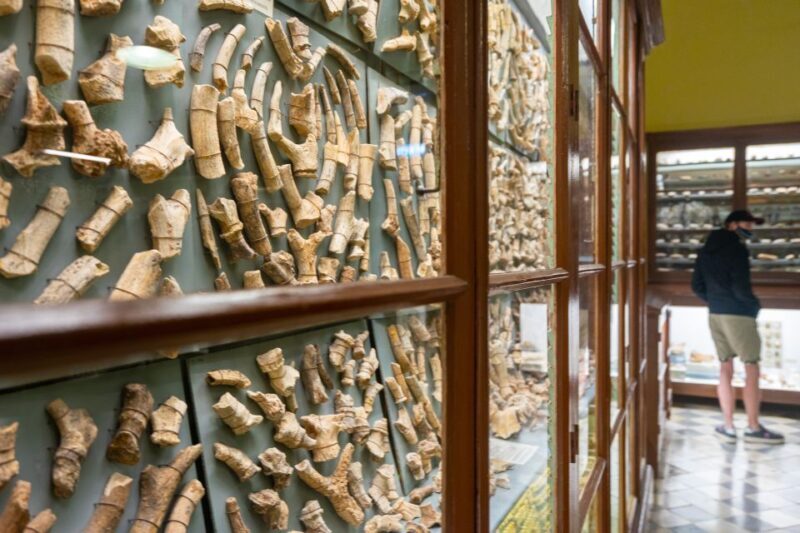 Prehistoric Temples of Malta Tour - Key Points