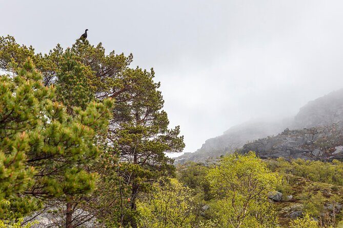 Preikestolen Hidden Trail Hike + Lunch and Canoe Trip - FAQ