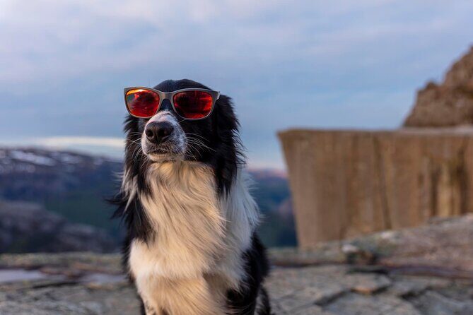 Preikestolen Sunrise Hike And Breakfast Buffet - Frequently Asked Questions