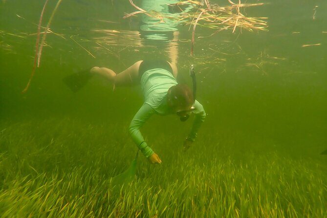 Premier Scalloping Adventure on Florida's Nature Coast - FAQ