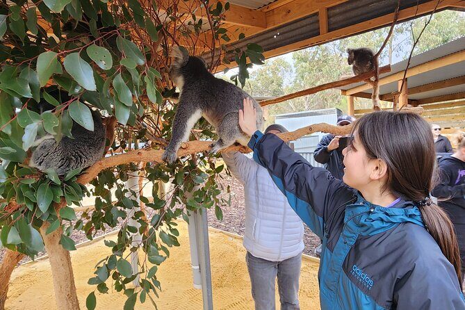 Premium 2 Day Kangaroo Island Minibus Tour from Adelaide - Practical Considerations and Value