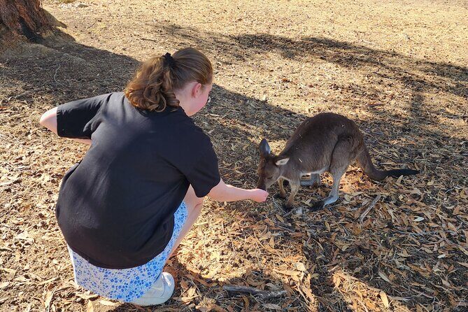 Premium Adelaide Hills Cleland Wildlife and Hahndorf Minibus Tour - Frequently Asked Questions