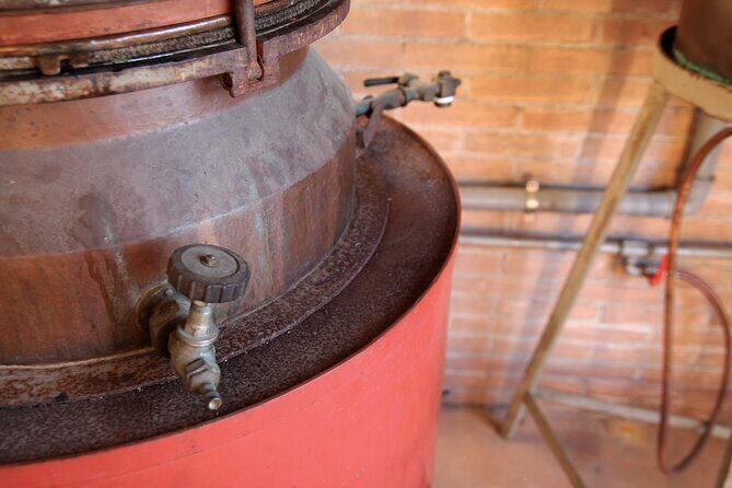 Premium Cheeses and Gins Tour in the Prosecco hills. Full lunch! - An In-Depth Look at the Tour Experience