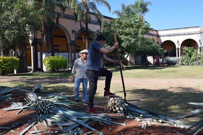 Premium Classic Tequila Experience in Cava de Oro - Transportation, Timing, and Group Size