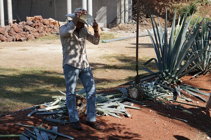 Premium Classic Tequila Experience in Cava de Oro - Final Thoughts: Who Should Consider This Tour?