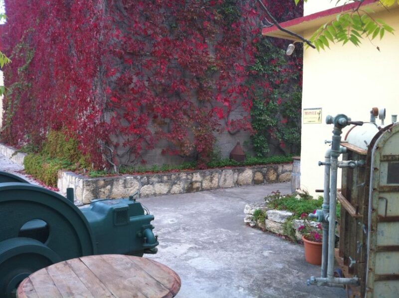 Premium Crete Olive oil tasting, Wine, Raki and Cretan food! - Why This Tour Offers Great Value