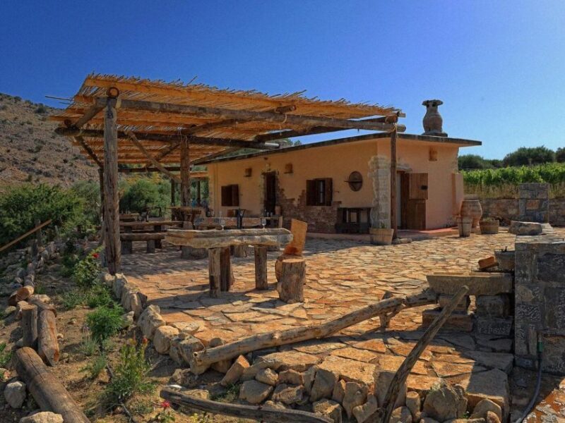 Premium Crete Olive oil tasting, Wine, Raki and Cretan food! - Final Summary