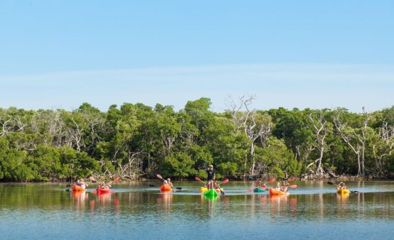 Premium Day Sail, Snorkel &, Kayak with Lunch - Key Points