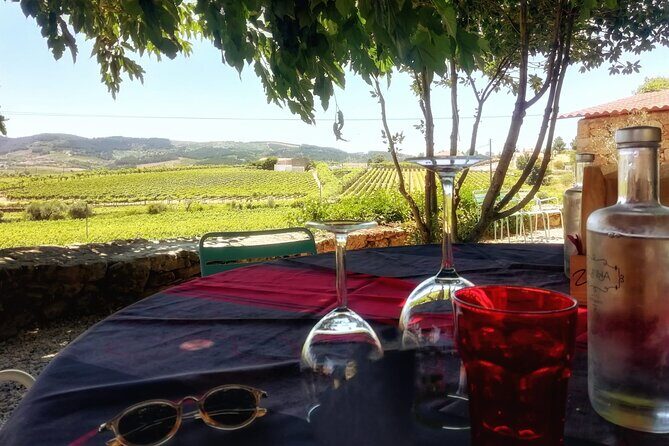 Premium Douro Valley Small-Group Tour, Wine Tasting, Lunch & Boat - Authentic Experiences that Make This Tour Stand Out