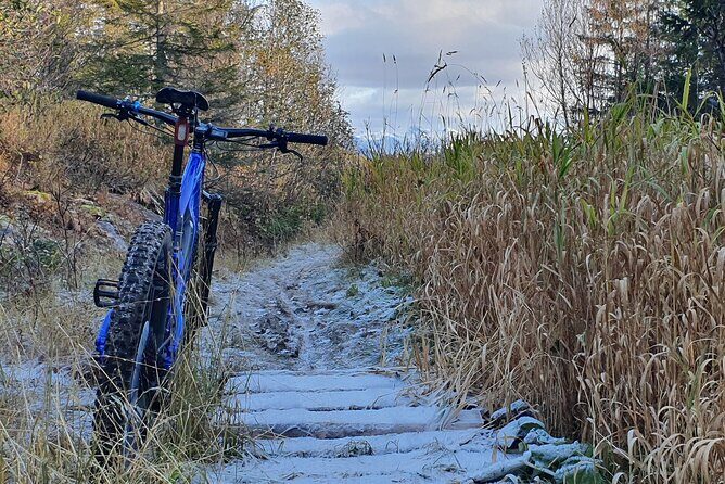 Premium eBike rental - The Sum Up: Is This eBike Rental Right for You?