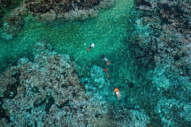 Premium Family Snorkeling Experience - The Practical Details: What You Need to Know