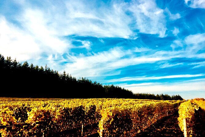 Premium Fraser Valley and White Rock Private Wine Tour - Stop 1: Township 7 Vineyards & Winery