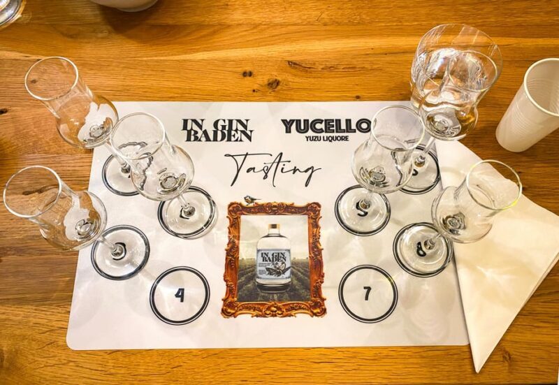 Premium gin tasting: production, variety and tasting - Key Points