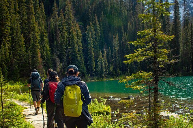 Premium Guided Hiking tours in Banff, Yoho & Kootenay - An In-Depth Look at the Experience