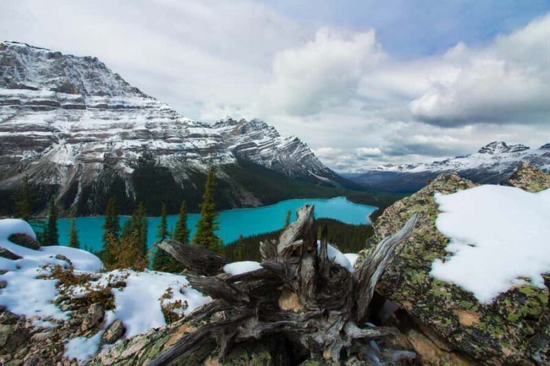 Premium Guided Icefields Parkway Tour: Glaciers and Skywalk - What Makes This Tour Stand Out?